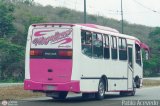 Transporte Privado Escuder�a Magallanes 01, por Pablo Acevedo