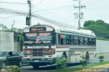 L�nea El Rosario 03