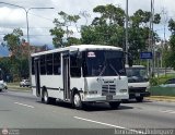 DC - M.S. El Amanecer de la Rinconada 2019 32