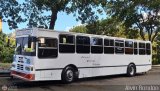 Unin Conductores Ayacucho 0014, por Alvin Rondn