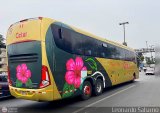 Cetur S.R.L. 955