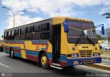 Expresos Pegamar 0015, por Alvin Rondon