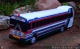 Maquetas y Miniaturas 0029, por Moises Silva Colombo