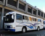 Inversiones y Servicios Virgilio Pea 16, por Waldir Mata