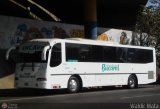 Transporte Bucaral 01, por Waldir Mata