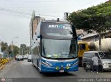 Anita Tours (Per) 213