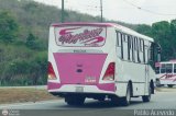 Transporte Privado Escuder�a Magallanes 02, por Pablo Acevedo