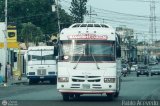 A.C. de Transporte Larense 20 por Pablo Acevedo
