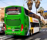 Expreso Internacional Palomino