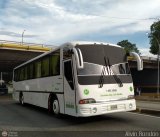 Servicios Especiales del Centro C.A. 40, por Alvin Rondn