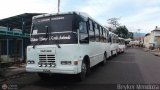 Asociacin Civil Lnea Unin Cordero 044, por Beyker Mendoza