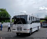 L�nea Altagracia 60 por Santiago Dorante