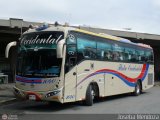 Flota Occidental 1040, por Joseba Mendoza