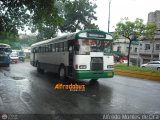 MI - U.C. San Charbel 98, por Alfredo Montes de Oca