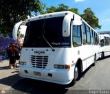 Organizaci�n Guaicamacuto 278