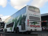 Expresos Flamingo 0097, por Alvin Rondon