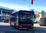 Trolmerida - Tromerca 5226, por Andrs Figuera