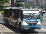 Colectivos Altagracia 01