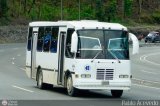 A.C. de Transporte N�mero Uno R.L. 045