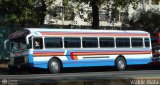 Cooperativa Duaca 2021 92, por Waldir Mata