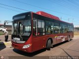Bus MetroMara 151, por David Olivares Martinez