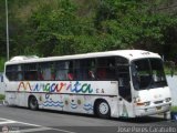 Unin Conductores de Margarita 22
