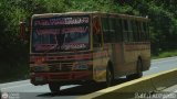 Colectivos Altagracia 11, por Pablo Acevedo