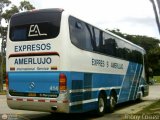 Expresos Amerlujo 414, por Thony Correa