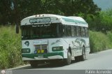 Transporte Ejecutivo Shadday