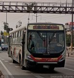 E.T. y Servicios Guadulfo Silva Carbajal (Per) 116, por Leonardo Saturno