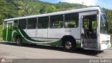 A.C. de Transporte Encarnaci�n 302, por Jesus Valero
