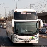 Expreso Internacional Palomino 7017, por Leonardo Saturno