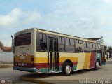 Transporte El Esfuerzo 11, por Yenderson Cepeda