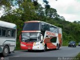 Rodovias de Venezuela 371, por Aly Baranauskas