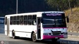 Cooperativa Innovacin Yarense