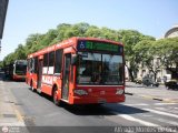 T.A. Plaza 0052, por Alfredo Montes de Oca