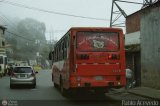 U.C. Caracas - El Junquito - Colonia Tovar 036, por Pablo Acevedo