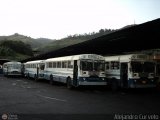 Garajes Paradas y Terminales Caracas, por Alejandro Curvelo
