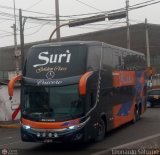 Internacional Crucero (Per) 954, por Leonardo Saturno
