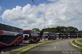 Expresos Occidente Gua 2019 41