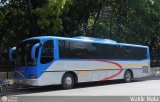 A.C. de Transporte Encarnaci�n 352