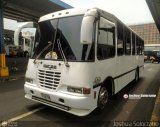 Coop. Transporte Menca de Leoni 037