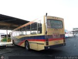 Transporte Belen 12, por Leonardo Saturno