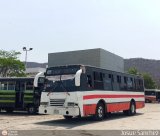 AN - Colectivos Luferpa C.A. 37, por Josue Snchez