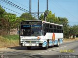 NE - A.C. Lnea Virgen del Carmen
