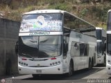 Expresos Flamingo 0441, por Alvin Rondon