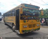 ZU - Colectivos Concepcin 043