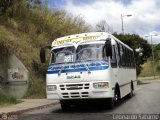 ME - Lnea San Benito 37