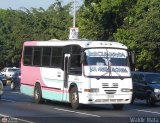 A.C. de Transporte N�mero Uno R.L. 040