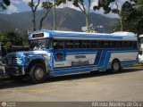 Transporte Colectivo Palo Negro 049, por Alfredo Montes de Oca